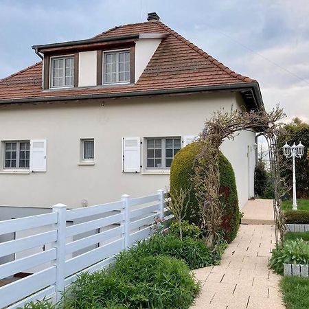 ארשטיין Le Papillon,Logement Cosy En Alsace מראה חיצוני תמונה